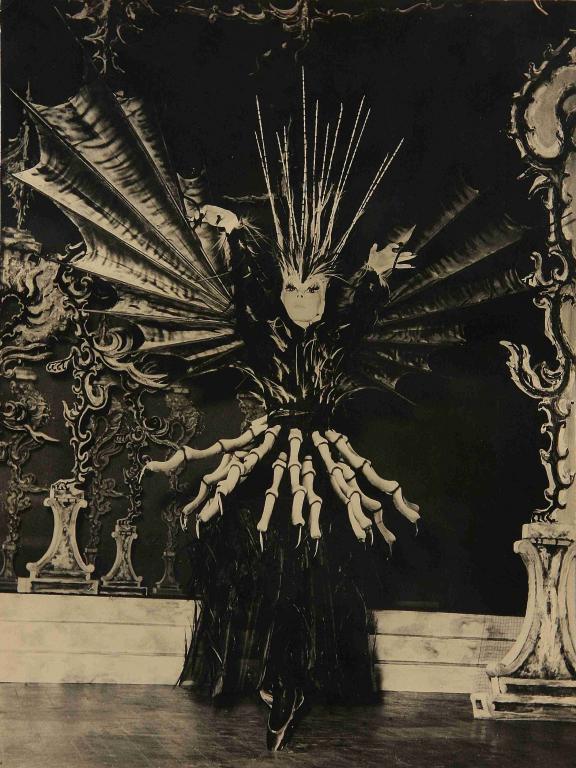 Photographie Ballet La Belle au Bois dormant