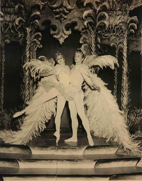 Photographie Ballet La Belle au Bois dormant