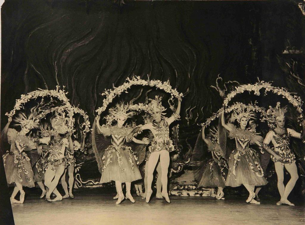 Photographie Ballet La Belle au Bois dormant
