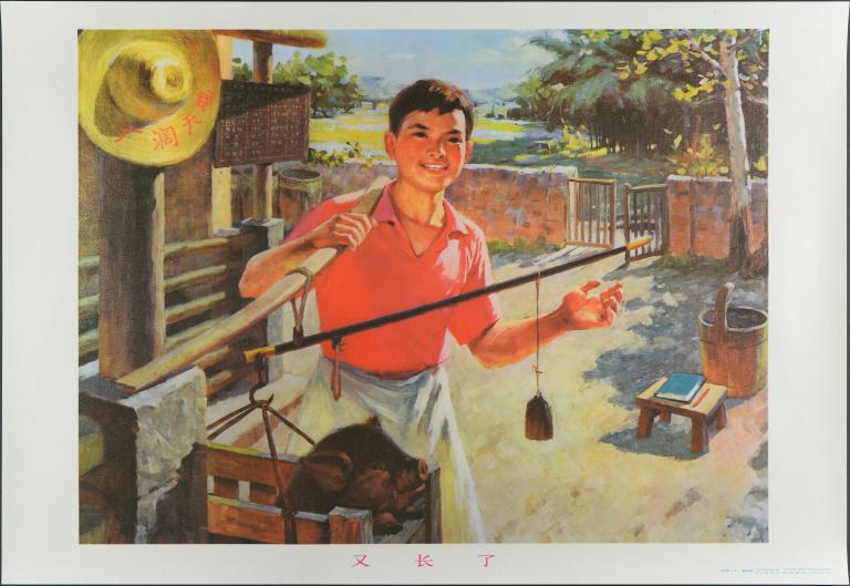 Il a encore grossi (titre en français) ; 又长了 (titre en chinois)