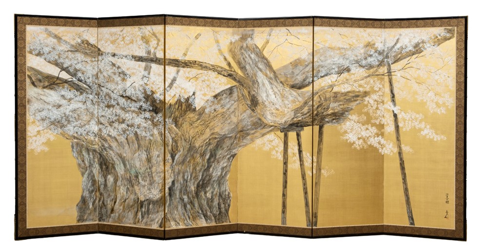 Le cerisier aux fleurs grises (titre traduit) ; 淡墨櫻 (titre en kanji) ; Usuzumi zakura (translittération)