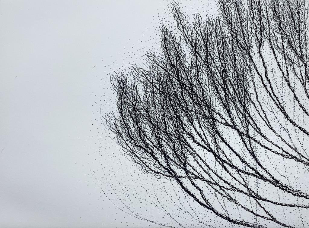 Bruissement II (titre de la gravure)  Nature (titre de la série)