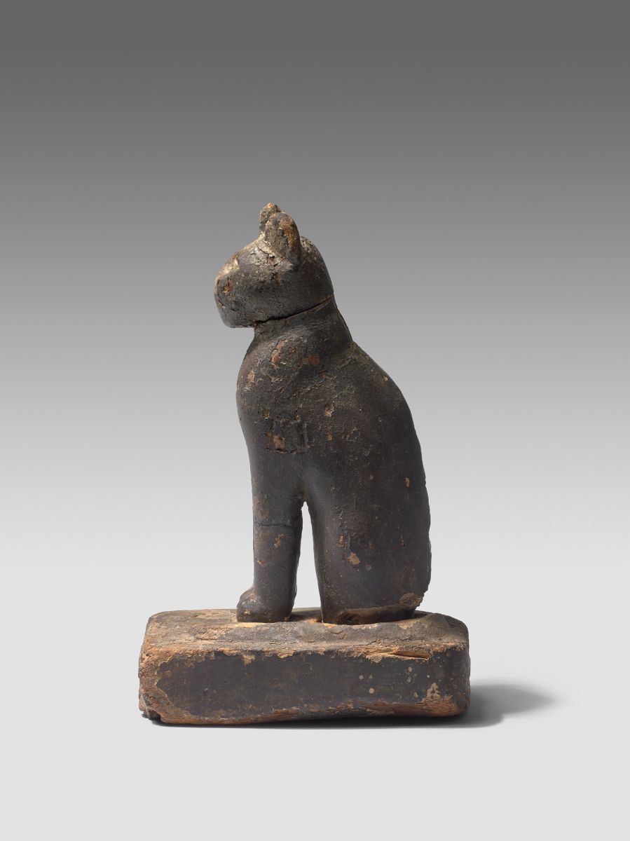 Cercueil de chatte