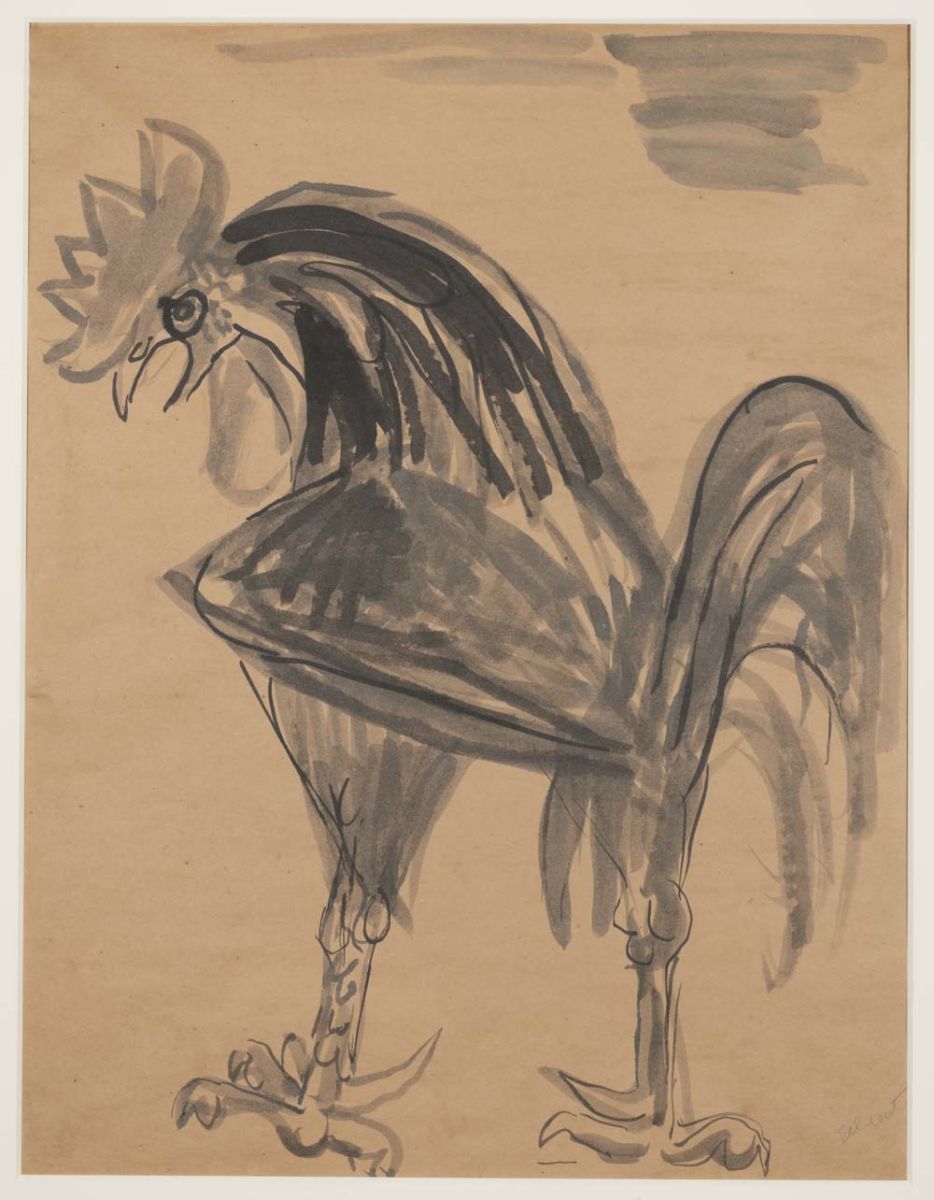 Coq (titre d'usage)