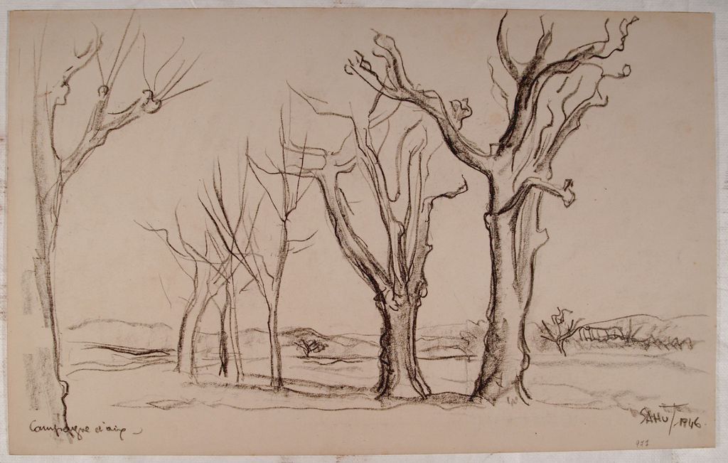 Les Milles, les Platanes