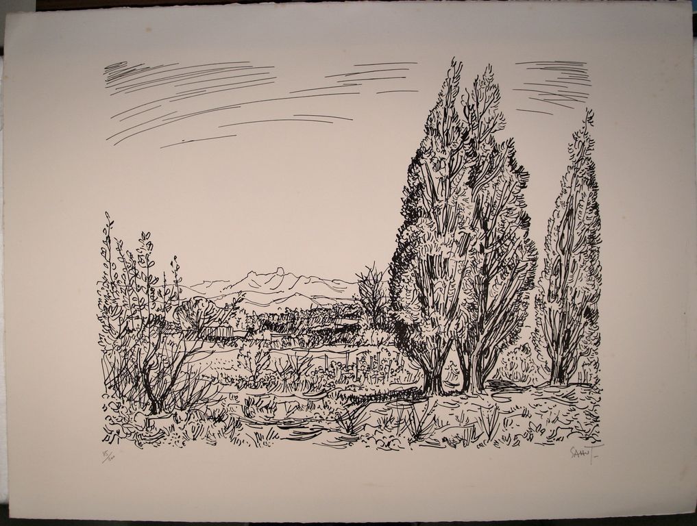 Cyprès (AAS)