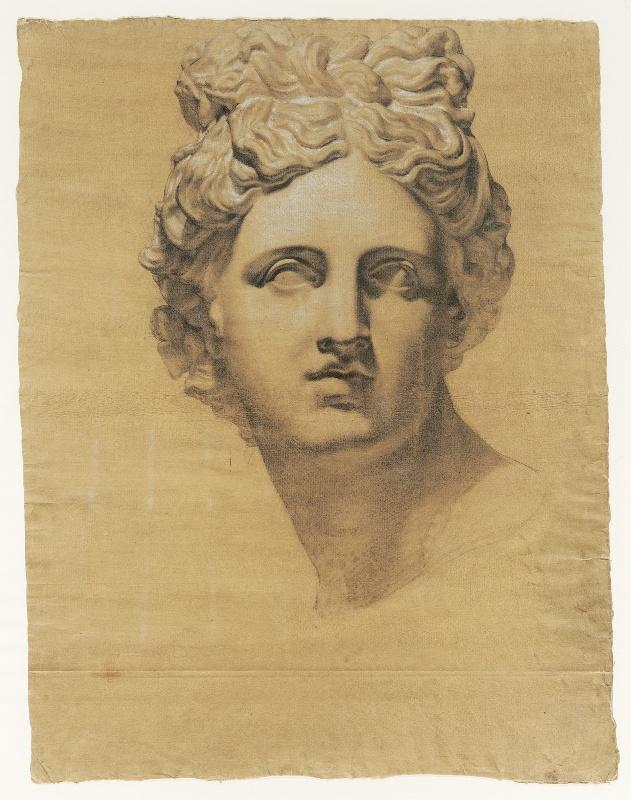 Apollon du Belvédère (tête)