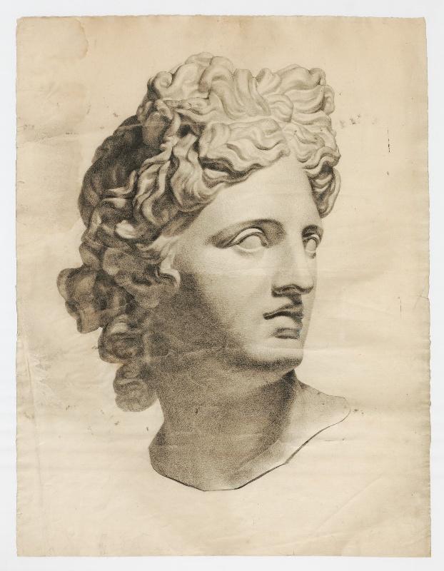 Apollon du Belvédère (tête)