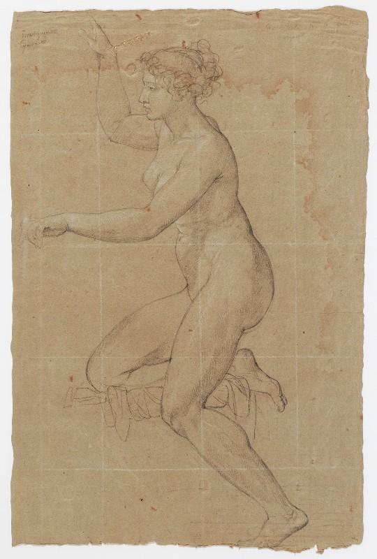 La toilette de Vénus, Une Grâce, étude de draperie