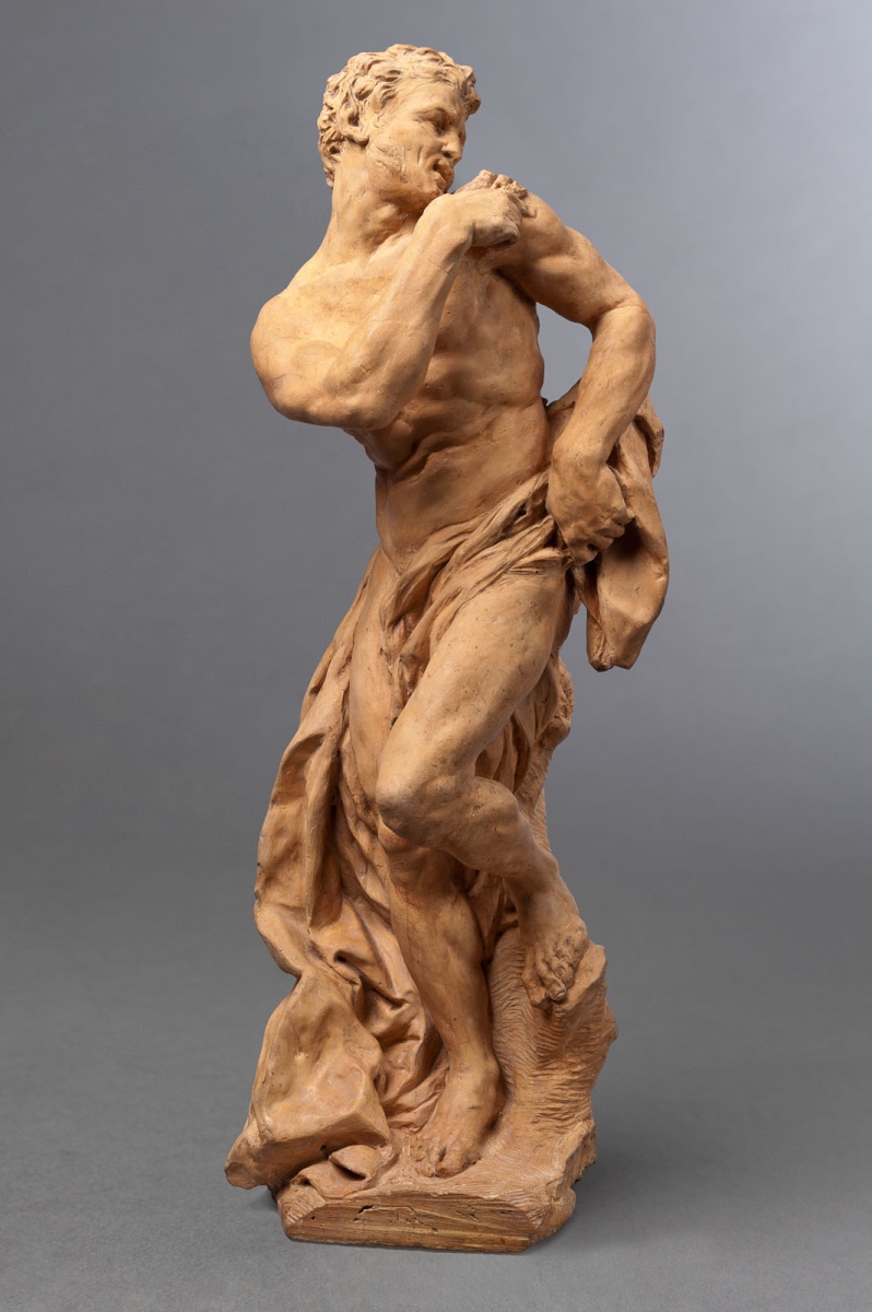 Faune