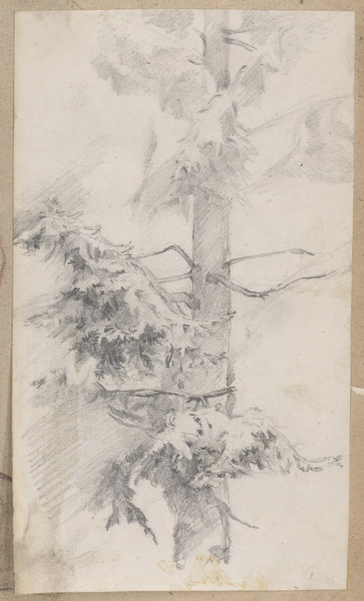 Etude d'arbres