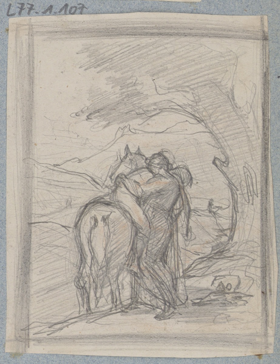 Cheval et cavalier