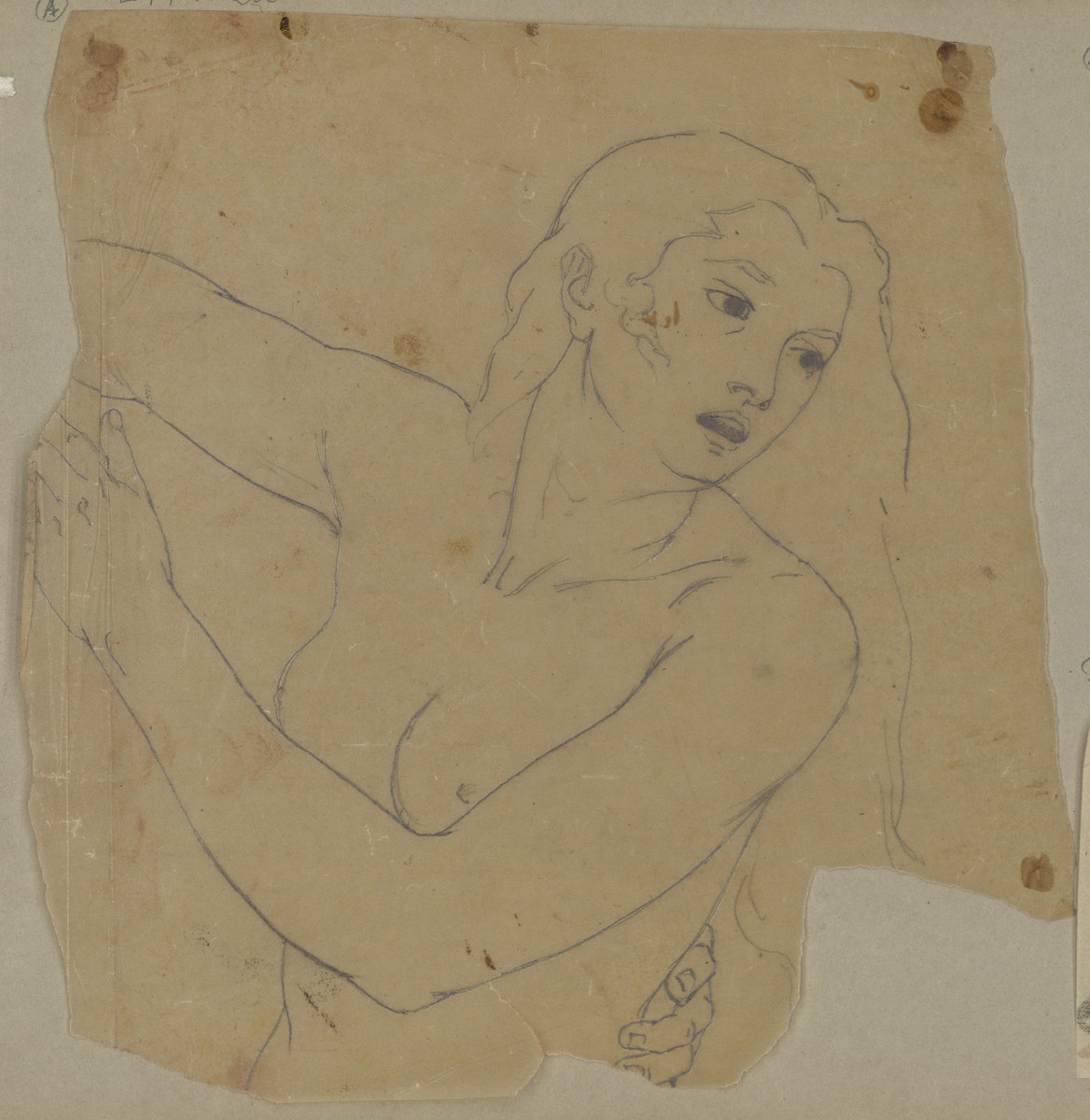 Buste de femme