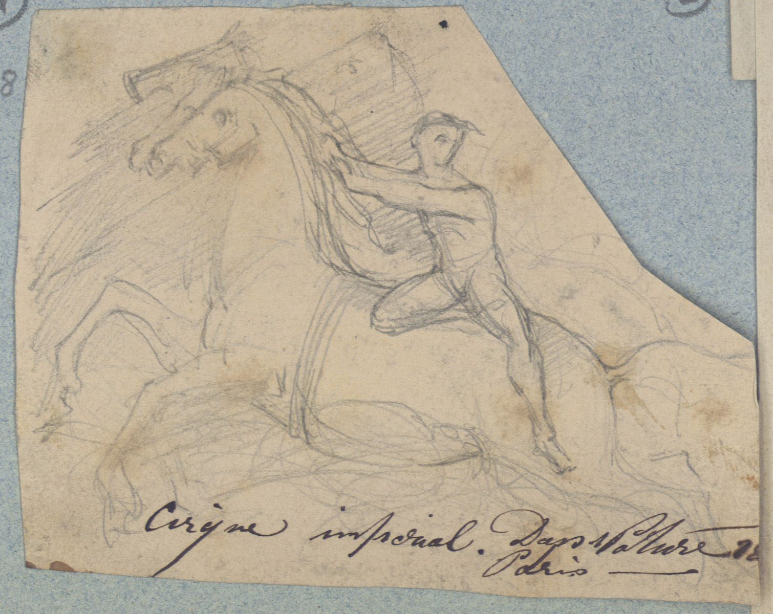 Cheval et cavalier
