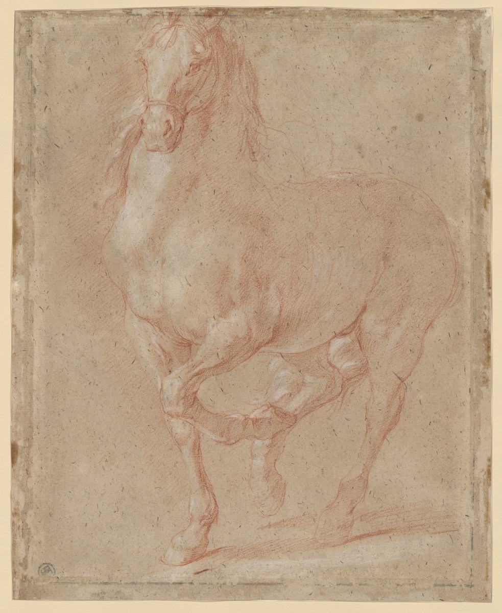 Etude de cheval