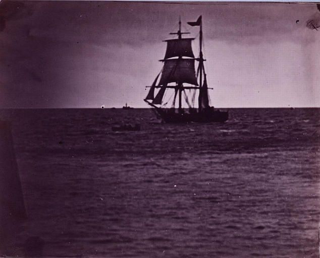 Marine