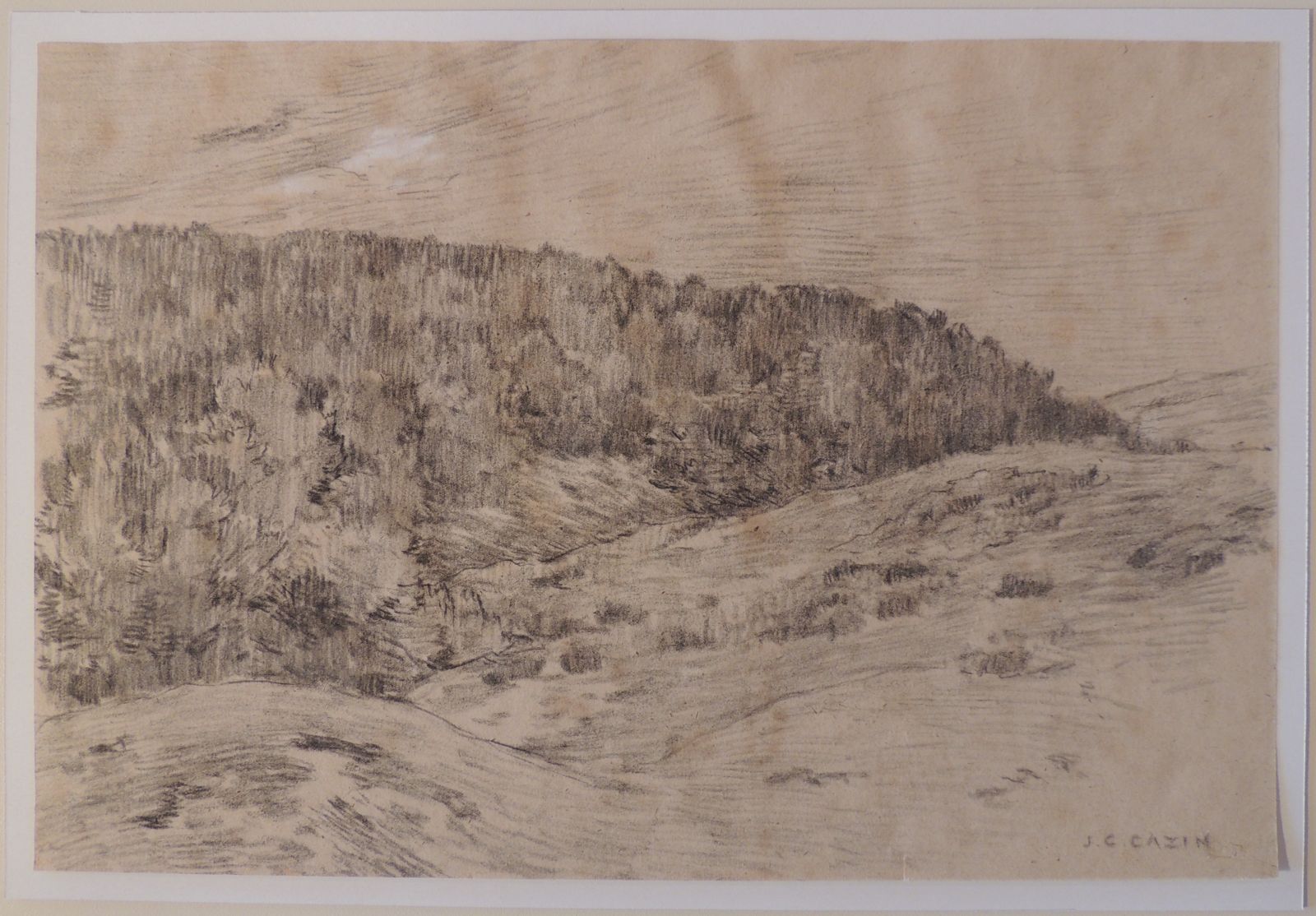 Dunes boisées à Equihen