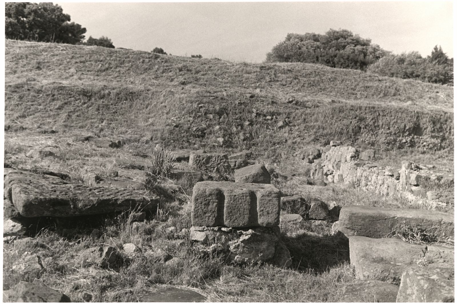 ... le Festival de l'Anche fait vibrer aujourd'hui ... ; La mystérieuse nature de la canne de Provence