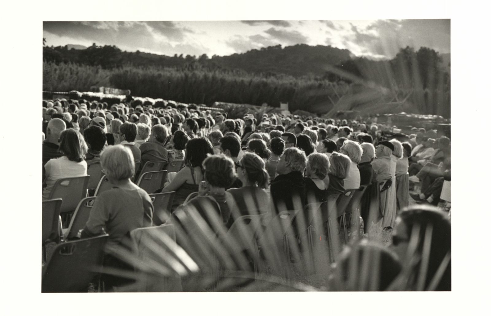 Concert dans les Canniers ; La mystérieuse nature de la canne de Provence