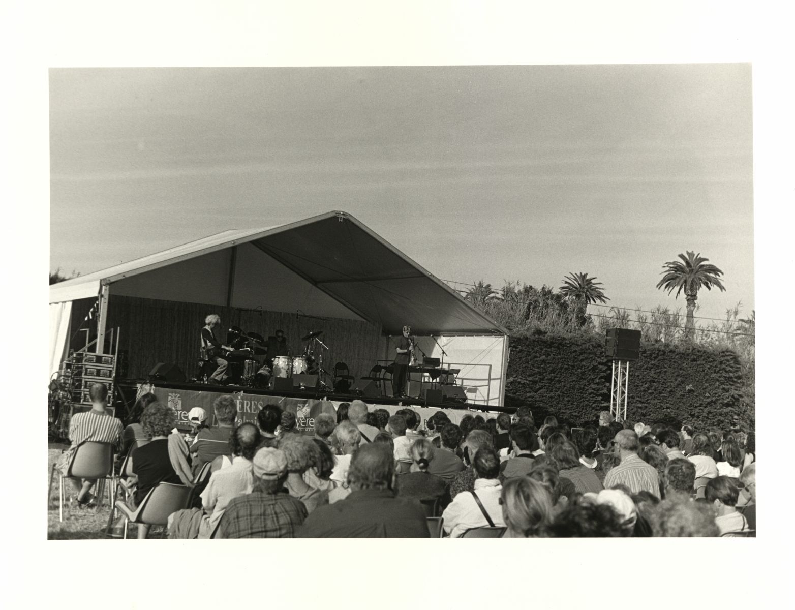 au pied des cannaies qui poussent sur le site ; La mystérieuse nature de la canne de Provence