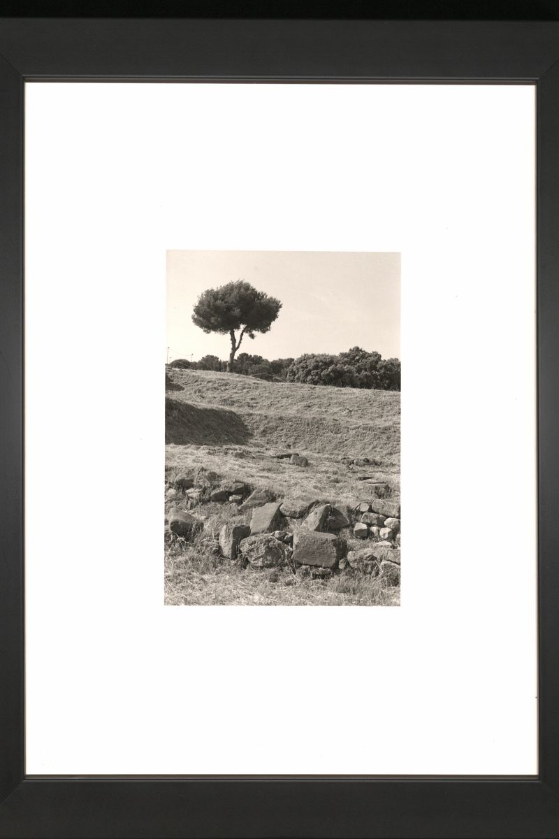 ...il y a plus de deux mille ans une vie intense ... ; La mystérieuse nature de la canne de Provence