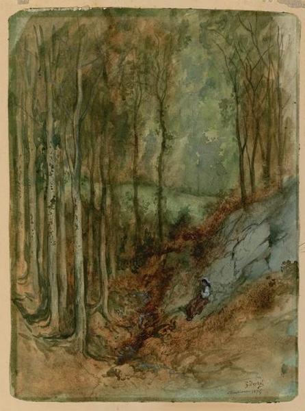 Vue des environs de Plombières