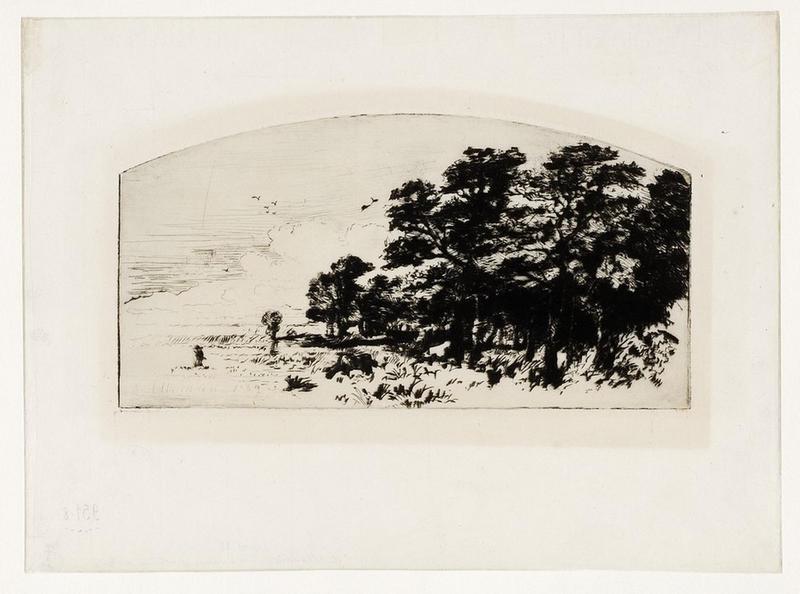 Trois vaches à la lisière du bois