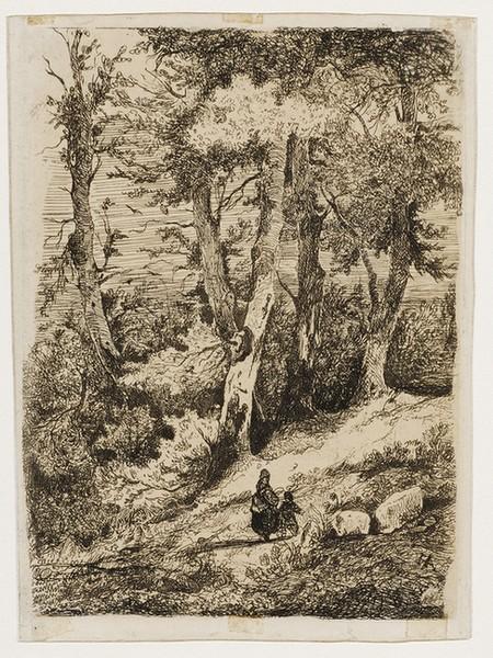 Intérieur d'un bois