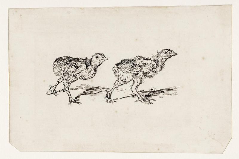 Deux poussins