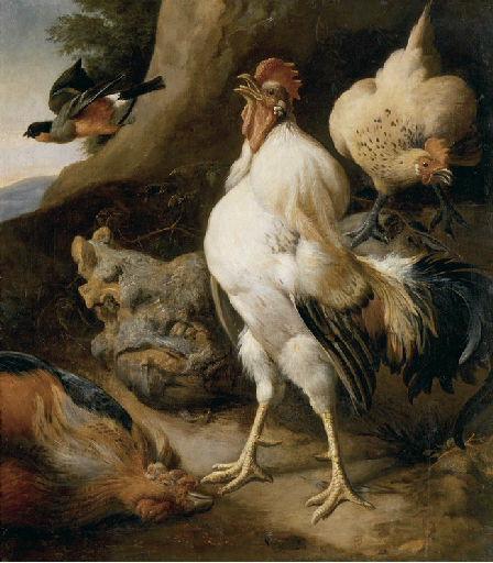 Coq triomphant