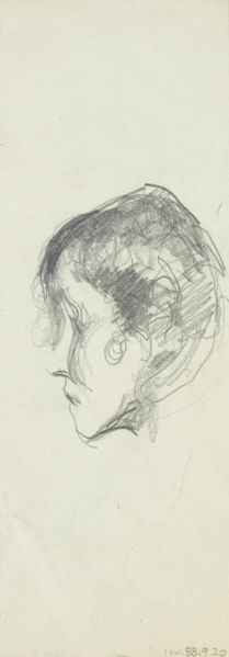 Etude d'un profil gauche de femme