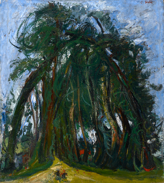 L'Allée d'arbres