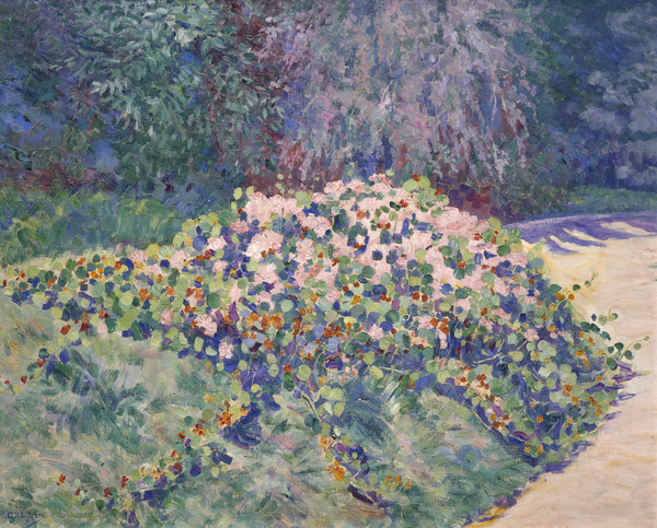 Corbeille de géraniums
