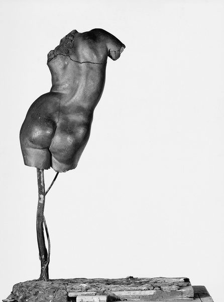 Etude de dos de femme