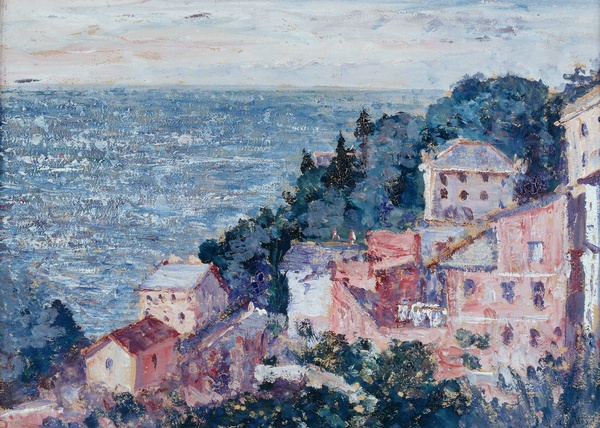 Nervi