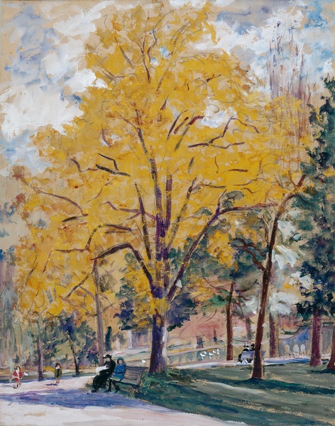 Le platane doré, jardin de Bordeaux (Jardin de Bordeaux)