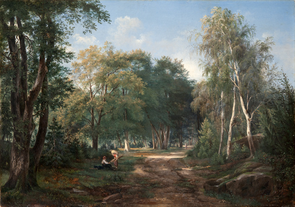 Intérieur de la forêt de Fontainebleau