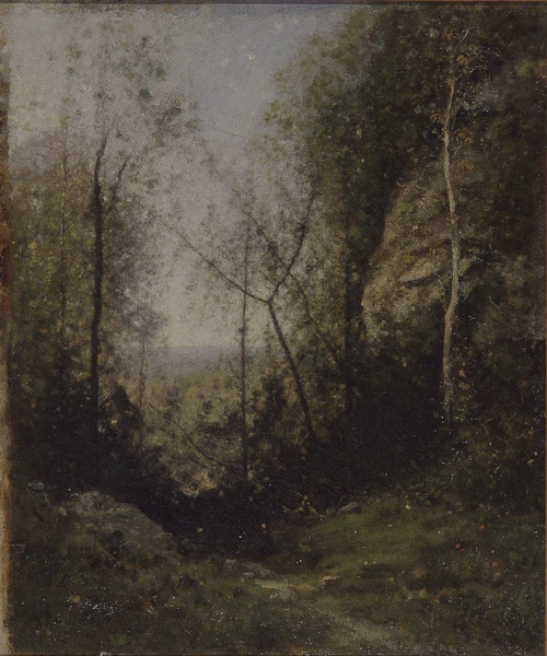 Chemin en montagne