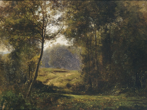 Clairière ensoleillée