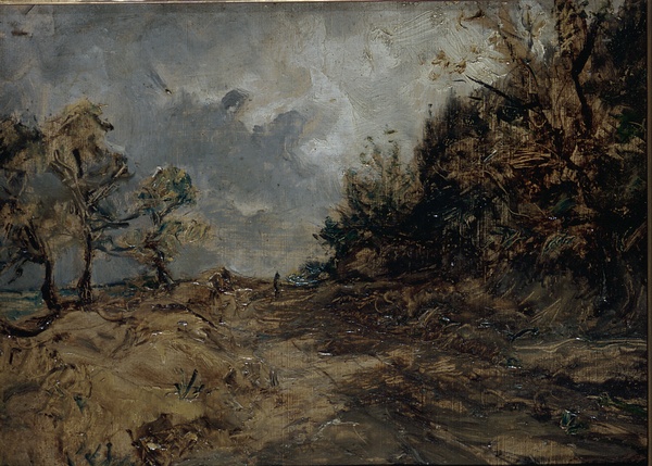 Paysage
