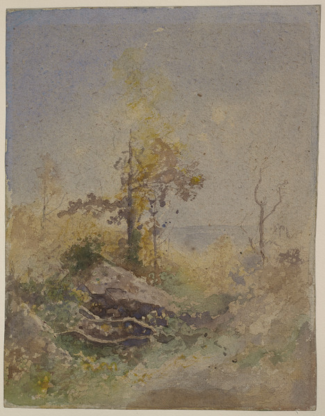 Arbres, taillis et roches