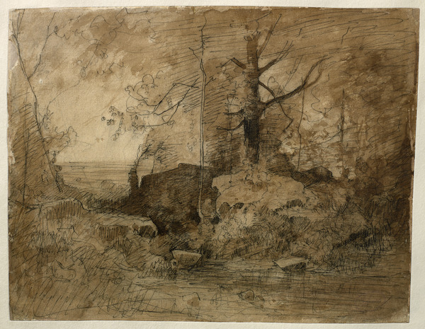 Arbres, rochers et pièce d'eau