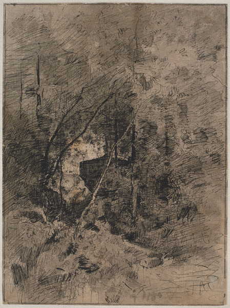 Arbres, taillis et roche noire