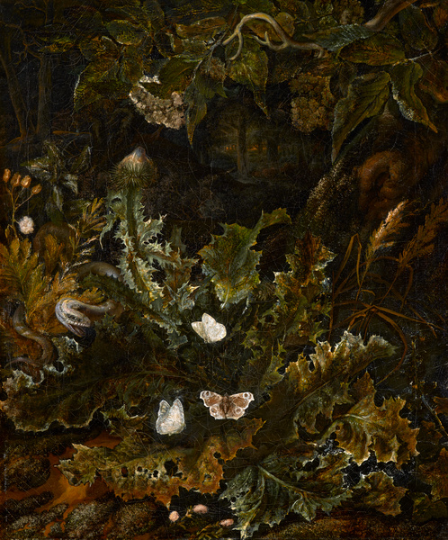 Chardon, reptile et papillons