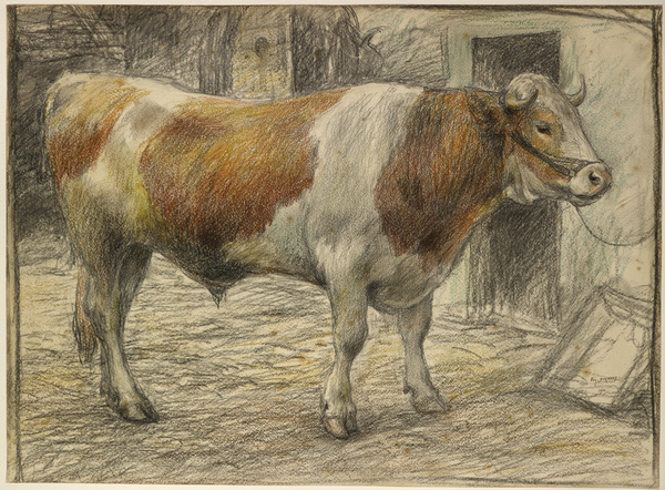 Le Taureau ; Le Boeuf (Ancien titre)