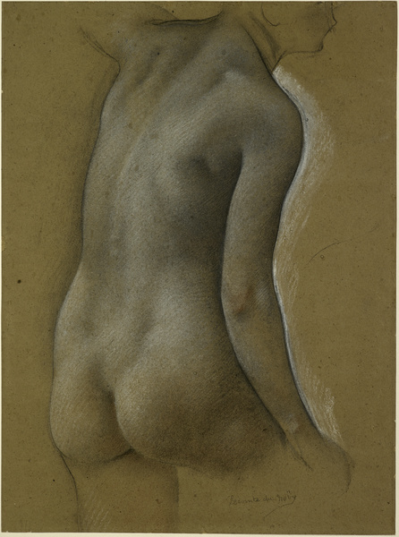 Torse de femme vue de dos