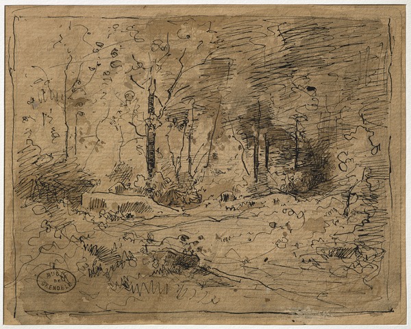 Intérieur de forêt