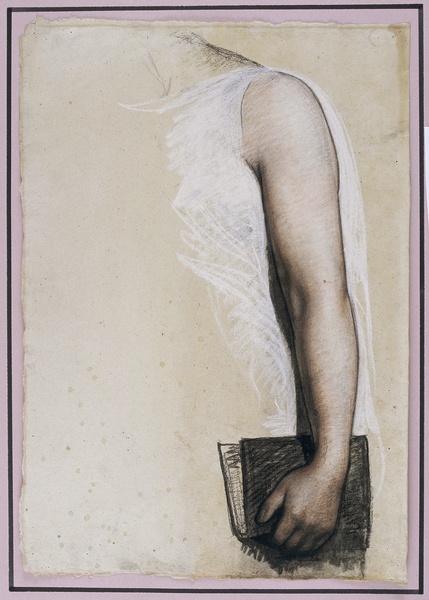 Sciences Physiques : étude de bras gauche