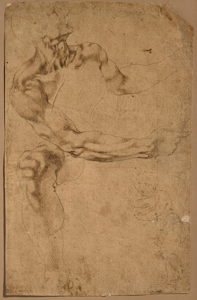 Etude d'anatomie d'homme, croquis d'un enfant marchant ; Figure d'homme à la plume (Ancien titre)