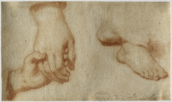 Etude de mains et de pieds